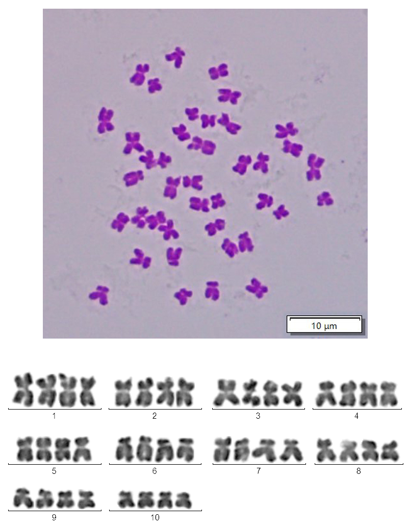 9acd528f03e2fd625abe4d36861916e3.png
